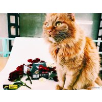 Настольная игра Cosmodrome Games Мафия