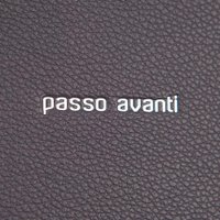 Сумка Passo Avanti 915-9067-GRY (серый)