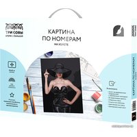 Картина по номерам Три совы Высокая мода КХ_44118