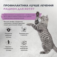 Сухой корм для кошек Brit care Superpremium Kitten с индейкой для котят, беременных и кормящих кошек (здоровый рост) 7 кг