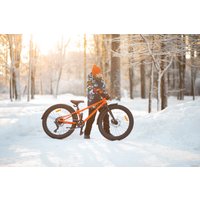 Велосипед Shulz Bubble 24 Race Plus 2024 (оранжевый)