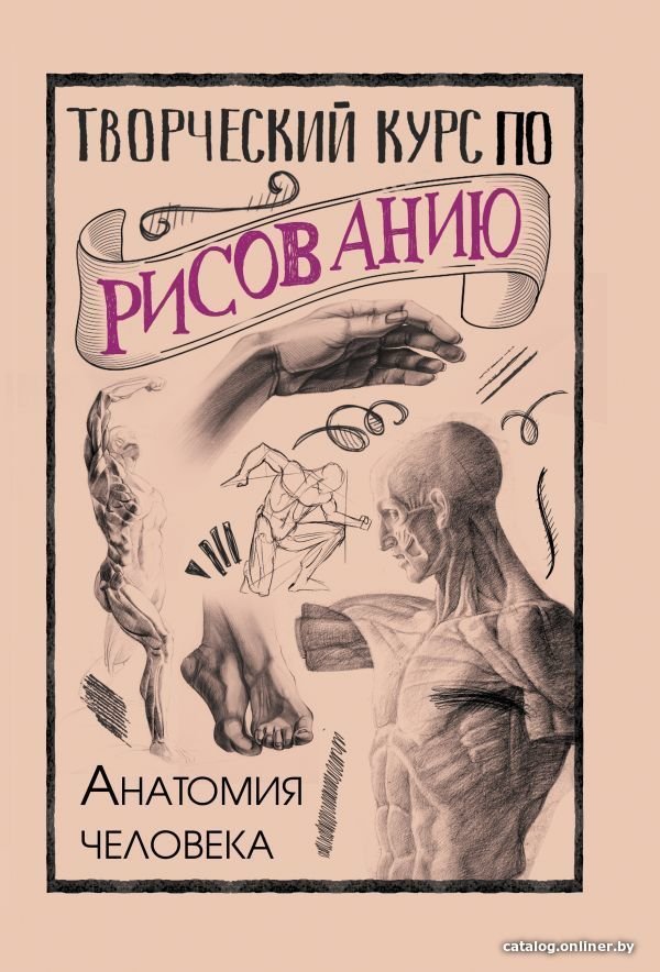 Книга издательства АСТ. Творческий курс по рисованию. Анатомия человека (Грей Мистер)