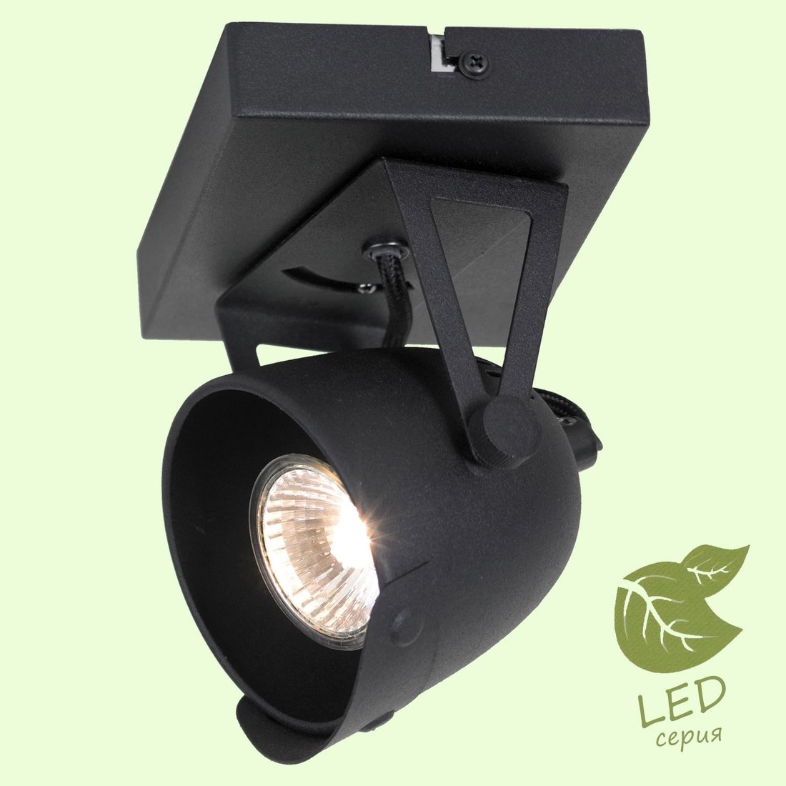 

Спот Lussole Loft GRLSP-9505