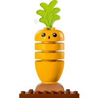 Конструктор LEGO Duplo 10984 Органический сад