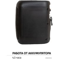 Беспроводная колонка Aiwa CAS-200