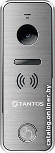 Вызывная панель Tantos iPanel 2+ (серебристый)