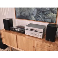 Виниловый проигрыватель Yamaha TT-S303 (черный)