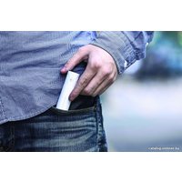 Внешний аккумулятор TP-Link TL-PB2600