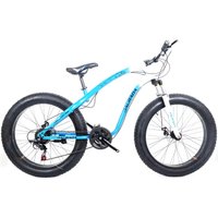 Велосипед Daurada D2-F108 р.17 (голубой/белый)