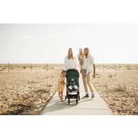 Коляска прогулочная «книга» Anex Air-x 2022 (green)