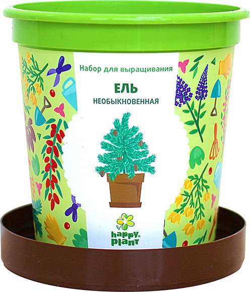 

Набор для опытов Happy plant Ель необыкновенная hpn-10