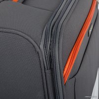 Чемодан-спиннер Francesco Molinary 270-29111/3-28 (серый)