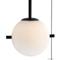 Подвесная люстра LOFT IT Signal 10029PS Black