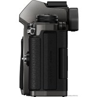 Беззеркальный фотоаппарат Olympus OM-D E-M5 Mark II Body Limited Edition