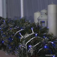 Новогодняя гирлянда Luazon Нить 100 LED 10м (синий) 3584137