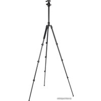 Трипод Raylab Pro 65 (с головой)