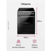 Кухонная плита Hansa FCCL69225