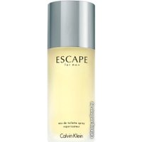 Туалетная вода Calvin Klein Escape for Men EdT (100 мл)