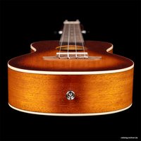 Укулеле Ortega Earth RUDAWN