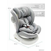 Детское автокресло Amarobaby Champion Isofix AMARO-2008CH-Se (серый)