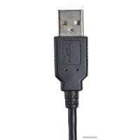 Офисная гарнитура Accutone UM950 USB в Бобруйске