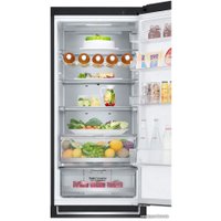 Холодильник LG DoorCooling+ GA-B509PBAM