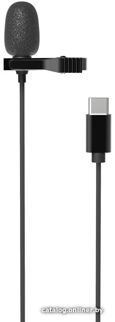 Проводной микрофон Ritmix RCM-210
