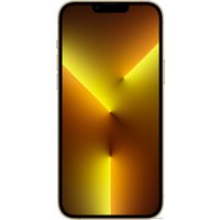 Смартфон Apple iPhone 13 Pro Max 128GB Восстановленный by Breezy, грейд C (золотистый)