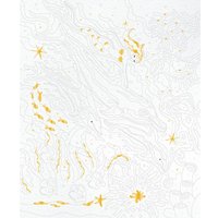 Картина по номерам Janod Дельфины J07981