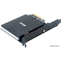 Адаптер Akasa AK-PCCM2P-03