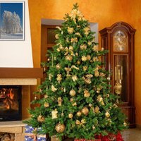 Ель GreenTerra Астерия Премиум 3D 2.1 м