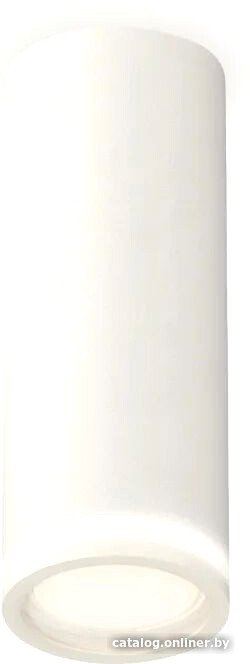 Точечный светильник Ambrella light Techno spot XS6342040 SWH/FR
