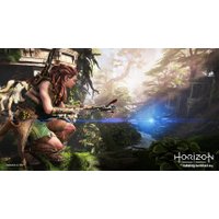  Horizon: Запретный запад. Специальное издание для PlayStation 4