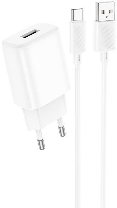 Сетевое зарядное Hoco C134A USB Type-C (белый)