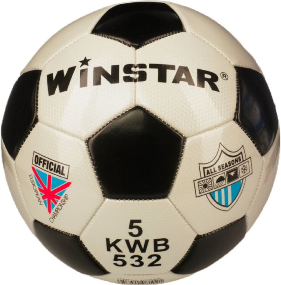 

Футбольный мяч Winstar WN11009 (5 размер)