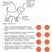 Сухой корм для собак AJO Dog Puppy & Junior с гречкой для средних и крупных пород 2 кг