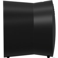 Беспроводная аудиосистема Sonos Era 300 (черный)