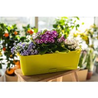 Вазон 5 Plast Прованс Балконный ящик (6 л, фисташковый, с подставкой)