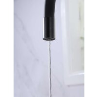 Смеситель Paulmark Salix Sa213419-418 (черный металлик)