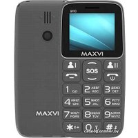 Кнопочный телефон Maxvi B110 (серый)