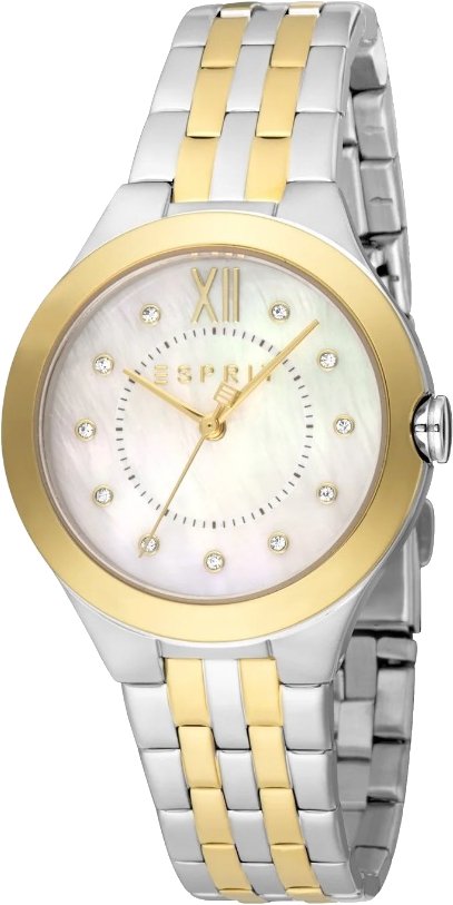 

Наручные часы Esprit ES1L264M1085
