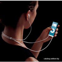 Плеер Apple iPod nano 4Gb (2nd generation)