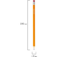 Набор простых карандашей BRAUBERG 180635 (12 шт.)