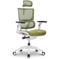 Офисное кресло Ergostyle Vision VIM01-W (зеленый)