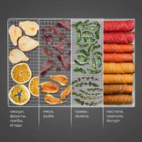 Сушилка для овощей и фруктов Redmond (Редмонд) FD1104