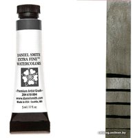 Акварельные краски Daniel Smith DS284610118 (белила титановые)