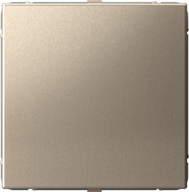 

Декоративная заглушка Systeme Electric ArtGallery GAL000509