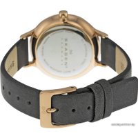 Наручные часы Skagen SKW2267