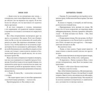 Книга издательства Freedom. Нарушитель правил, твердая обложка (Холл Никки)