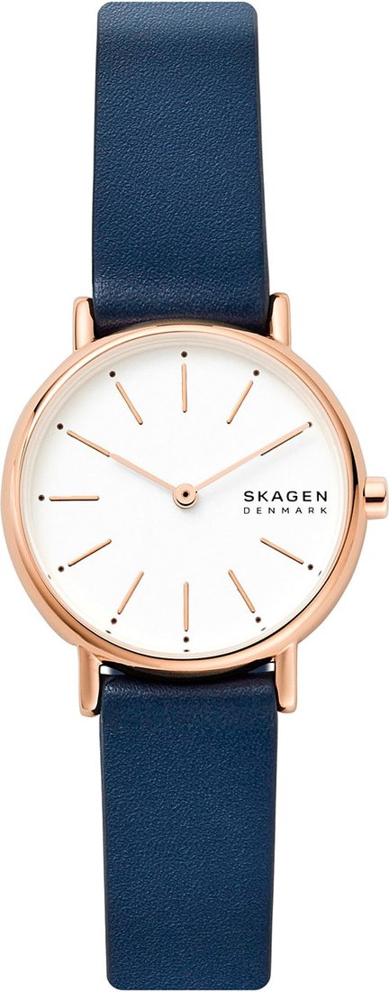 

Наручные часы Skagen SKW2838